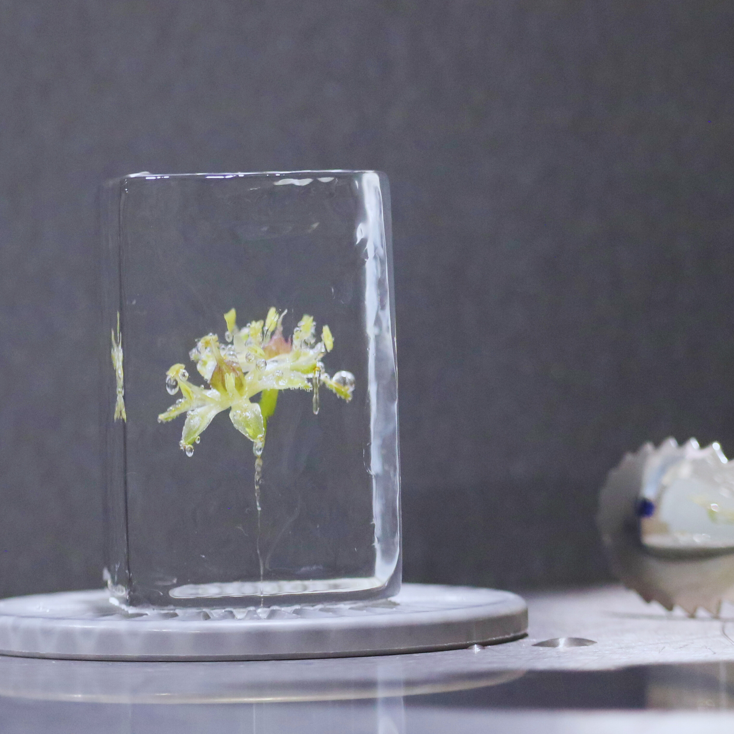 Garnished and Stamped Ice