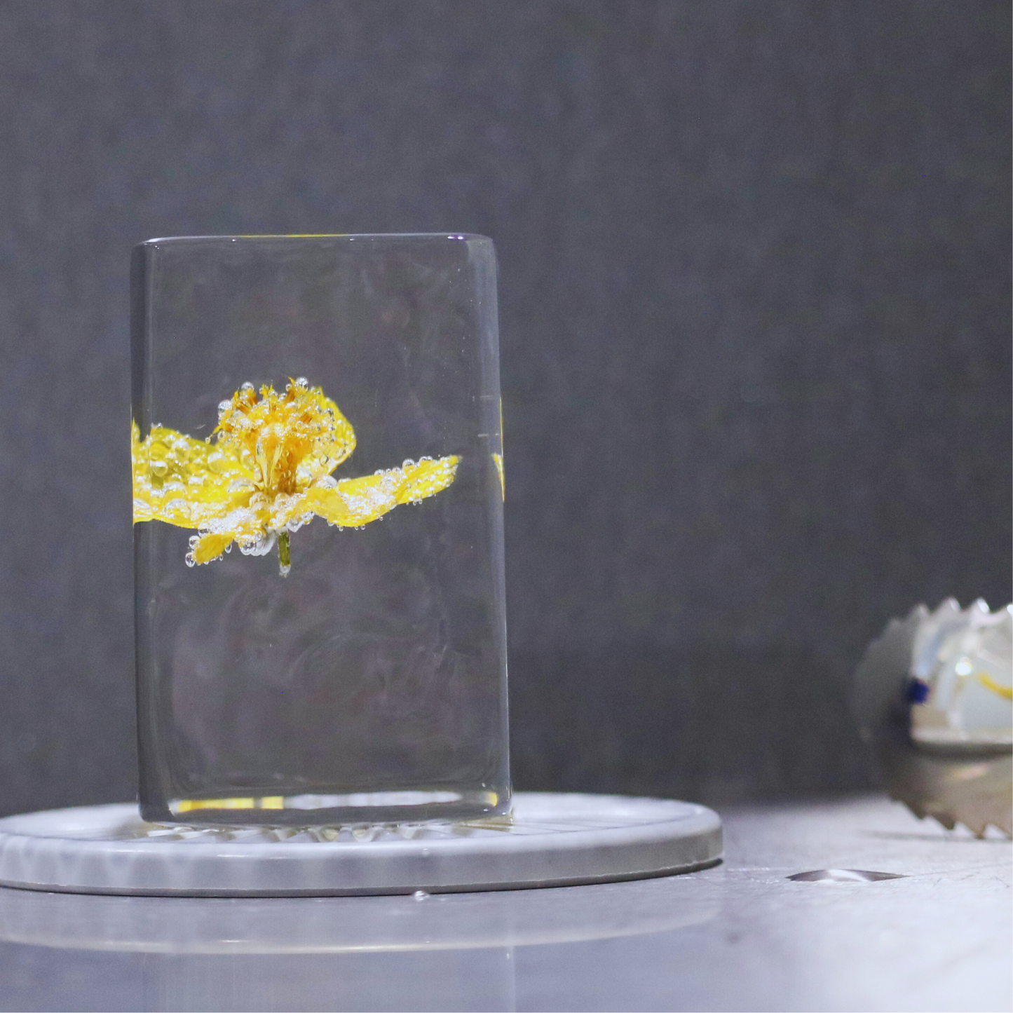 Garnished and Stamped Ice