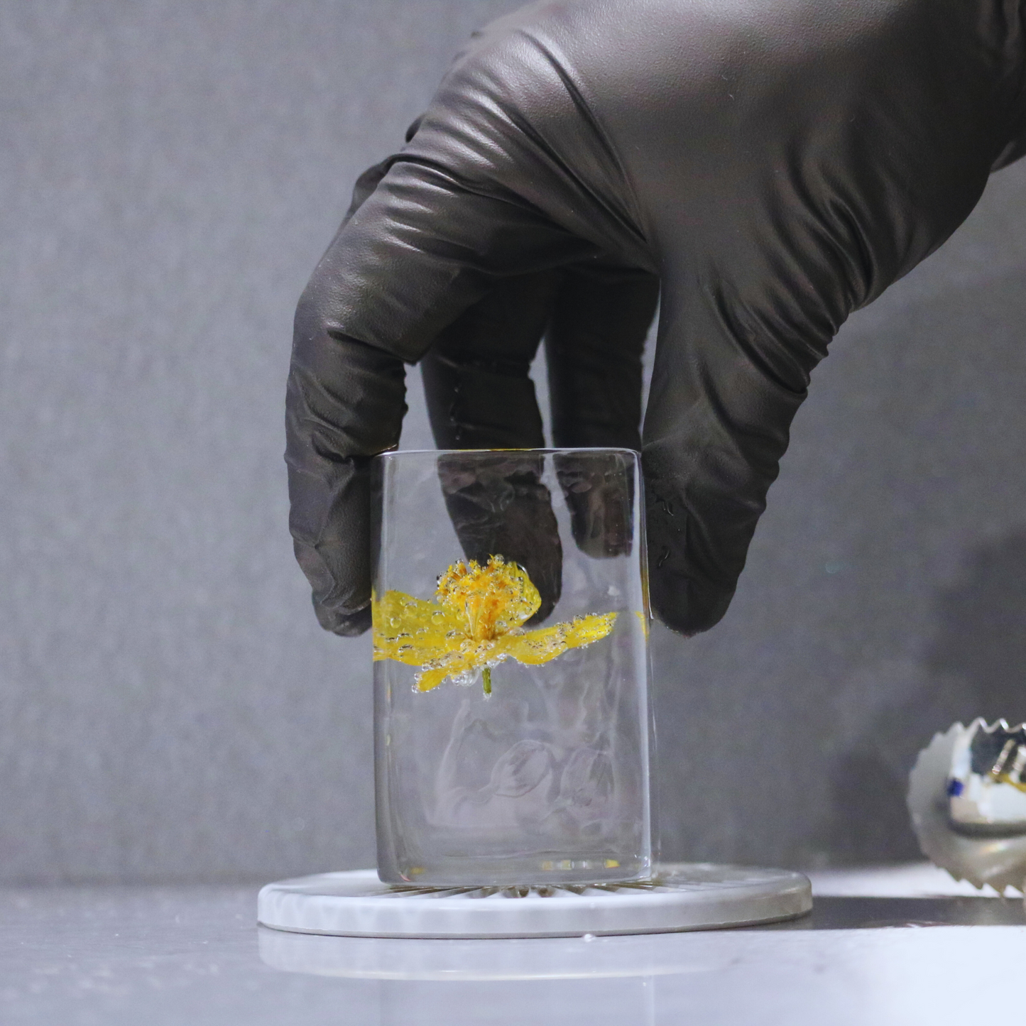 Garnished and Stamped Ice